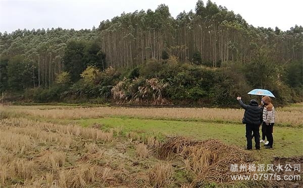 房山区陈老师带着爱徒寻龙点穴